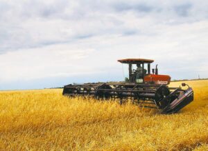 Read more about the article Foundation of Agricultural Company in Lithuania