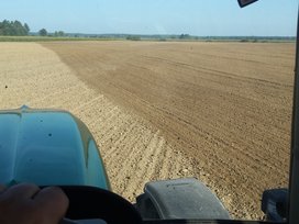 Read more about the article Land Lease in Lithuania