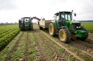 Read more about the article Farmer in Lithuania